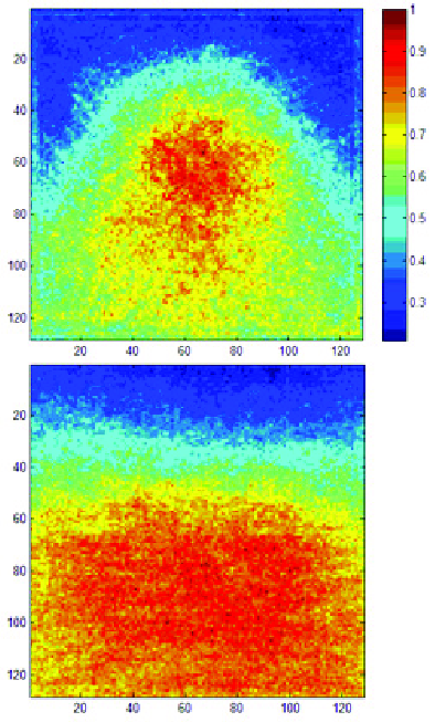 narrow-and-wideview-image-features